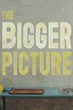 Watch The Bigger Picture 123movieshub