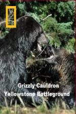 Watch National Geographic Grizzly Cauldron 123movieshub