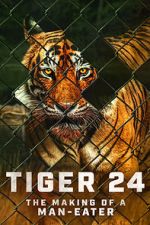 Watch Tiger 24 123movieshub