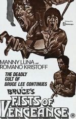 Watch Bruce\'s Fists of Vengeance 123movieshub