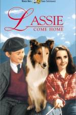 Watch Lassie Come Home 123movieshub