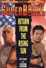Watch WCW SuperBrawl I 123movieshub