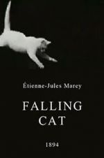 Watch Falling Cat 123movieshub