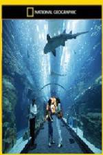 Watch National Geographic Megastructures Dubai Mega Mall 123movieshub