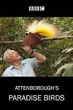 Watch Attenborough's Paradise Birds 123movieshub