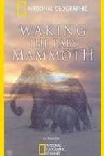 Watch Waking the Baby Mammoth 123movieshub