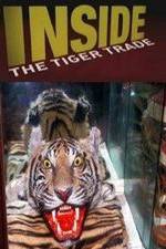Watch Inside: The Tiger Trade 123movieshub