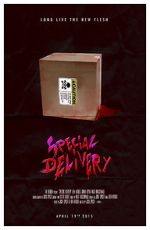 Watch Special Delivery 123movieshub