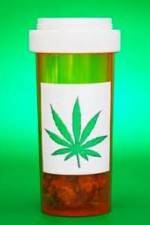 Watch Medicinal Cannabis and its Impact on Human Health 123movieshub