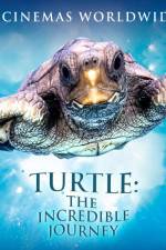 Watch Turtle The Incredible Journey 123movieshub