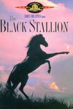 Watch The Black Stallion 123movieshub