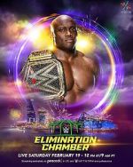 Watch WWE Elimination Chamber (TV Special 2022) 123movieshub