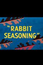 Watch Rabbit Seasoning 123movieshub