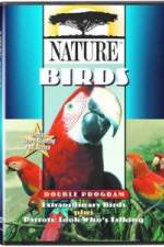 Watch PBS Nature - Extraordinary Birds 123movieshub