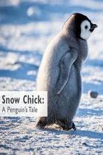 Watch Snow Chick: A Penguin's Tale 123movieshub