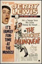 Watch The Delicate Delinquent 123movieshub