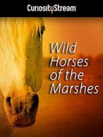 Watch Wild Horses of the Marshes 123movieshub