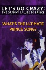 Watch Let\'s Go Crazy: The Grammy Salute to Prince 123movieshub