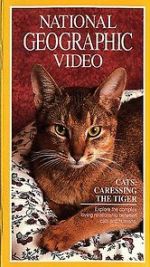 Watch Cats: Caressing the Tiger 123movieshub