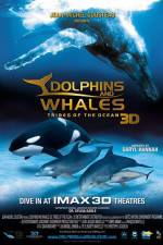 Watch Dolphins and Whales 3D Tribes of the Ocean 123movieshub