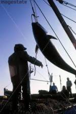 Watch National Geographic: Cheating Death Tuna Cowboys 123movieshub