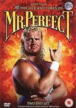 Watch The Life and Times of Mr. Perfect 123movieshub