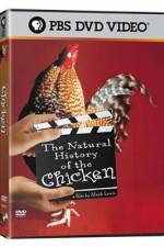 Watch The Natural History of the Chicken 123movieshub