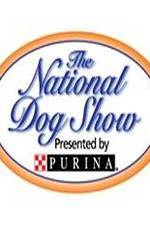 Watch National Dog Show 123movieshub