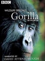 Watch Gorilla Revisited with David Attenborough 123movieshub