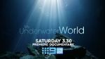 Watch My Underwater World (TV Special 2024) 123movieshub