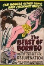 Watch The Beast of Borneo 123movieshub