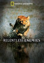 Watch Relentless Enemies 123movieshub