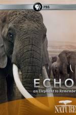 Watch Echo: An Elephant to Remember 123movieshub