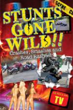 Watch Stunts Gone Wild: Crashes, Smashes & Road Rashes! 123movieshub