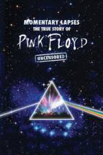 Watch Pink Floyd: Momentary Lapses - The True Story Of Pink Floyd 123movieshub