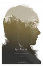 Watch Sea Horse 123movieshub