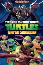 Watch Teenage Mutant Ninja Turtles: Enter Shredder 123movieshub