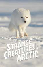 Watch Strange Creatures of the Arctic (TV Special 2022) 123movieshub