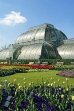 Watch Cruickshank on Kew: The Garden That Changed the World 123movieshub