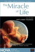 Watch The Miracle of Life 123movieshub