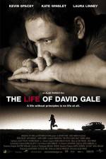 Watch The Life of David Gale 123movieshub