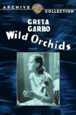 Watch Wild Orchids 123movieshub