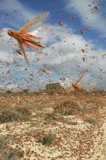 Watch Swarm Chasers: Locusts 123movieshub