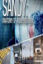 Watch Sandy Anatomy Of A Superstorm 123movieshub