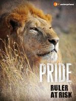 Watch Pride - Ruler\'s at Risk 123movieshub