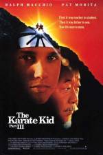 Watch The Karate Kid, Part III 123movieshub