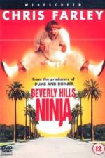 Watch Beverly Hills Ninja 123movieshub