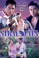 Watch Stray Cats 123movieshub