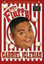 Watch Gabriel Iglesias: Hot and Fluffy 123movieshub