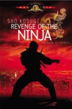 Watch Revenge of the Ninja 123movieshub